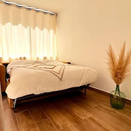 Mourillon : T2 Avec Jardin, A 400 M De La Plage Appartement